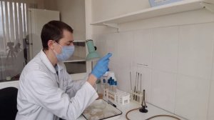 Основы работы с культурами грибов в микологической лаборатории