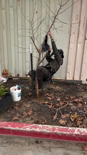 Техника безопасности 🤣 смотреть онлайн