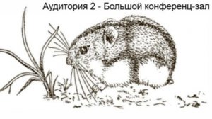 Аудитория 2 - Организационное заседание и закрытие съезда