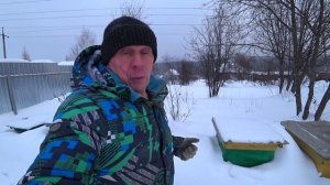 ПЧЁЛЫ ПОДОШЛИ К ЗАДНЕЙ СТЕНКЕ, ЧТО Я СДЕЛАЛ, А ТАКЖЕ ОТВЕТЫ НА КОММЕНТАРИИ.