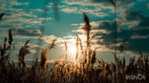 Лирическая