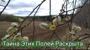 МЕТАЛЛОКОП!!! Такого количества металла я не ожидал. 😁И так бывает!!!