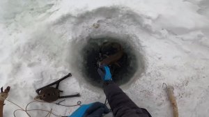 Рыбалка на Енисее. Отчёт с проверки перемётов. 65