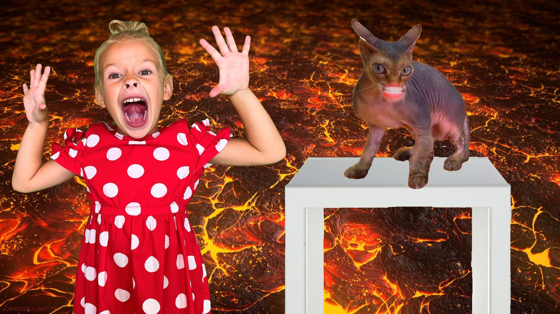 Пол это ЛАВА с Кошкой Ладой смотреть онлайн