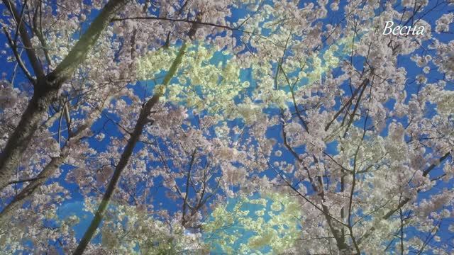 Весна смотреть онлайн