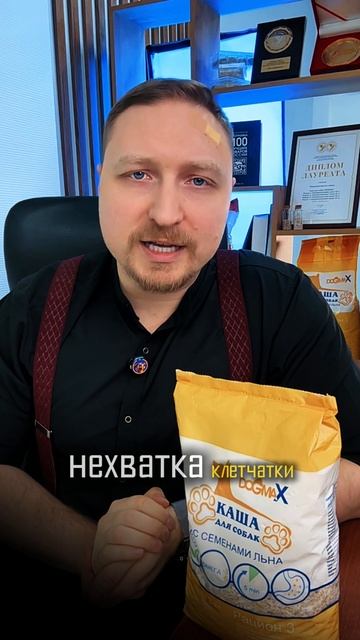 Почему собака ест какашки? Когда это норма, а когда проблема? #копрофагия #кашадлясобак #собаки