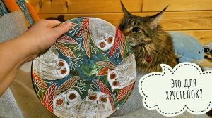 Сыч Лучик следит за совами сплюшками. Распаковка волшебной керамики от Христины Григорьевой