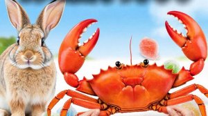 Мастерим ВАУ-открытку и мармеладного краба 🍬📬