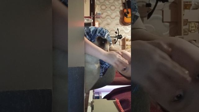 обзор на мой дом. смотреть онлайн