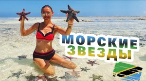 ЗАНЗИБАР 2026 - Экскурсия в отлив по океану. Полный обзор отеля Waikiki Zanzibar Resort