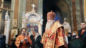 Никогда, никого не вини!