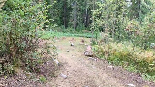 Спуск с горы в город ☀Солнца 18.08.24. смотреть онлайн