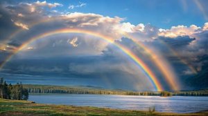 Песнь любви