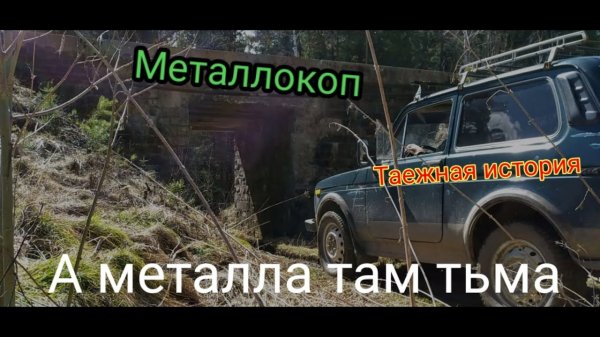 МЕТАЛЛОКОП!!! 👍Два Дня в Глухом ТАЕЖНОМ Лесу.  ЛОСИНОЕ логово. часть1👍