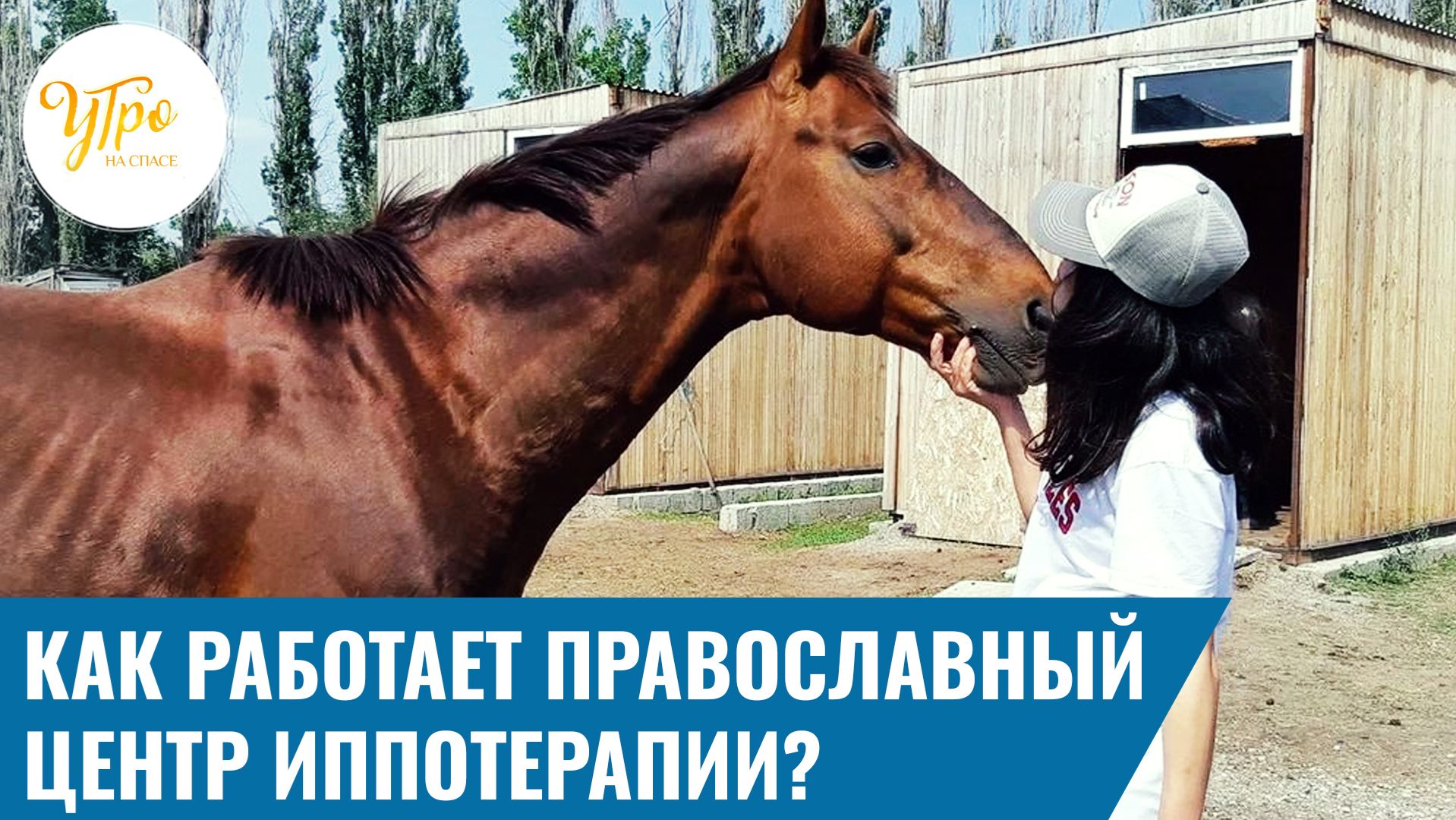 Как работает православный центр иппотерапии? смотреть онлайн