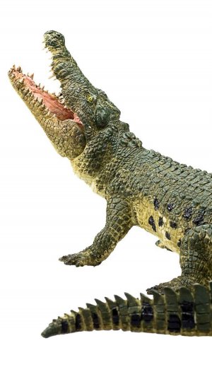 Крокодилы умеют летать...!😆