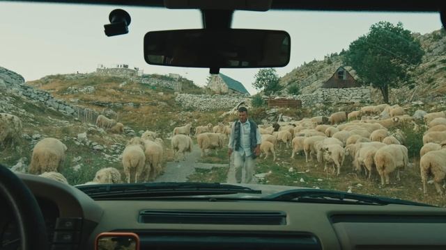 100 Days of Solo Travel The Full Journey (30-Minute Version) смотреть онлайн