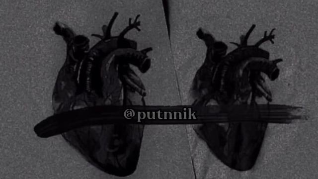 Красивый нашид