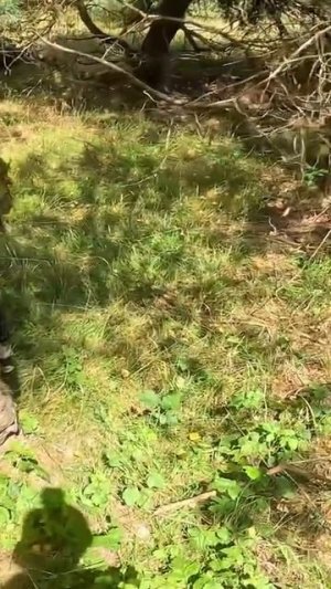 Крупная игра в Чехий