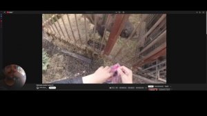 я смотреть это канал Кабан Фунтик