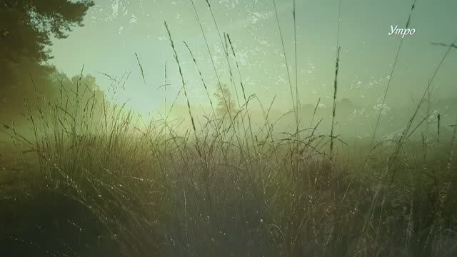 Утро смотреть онлайн