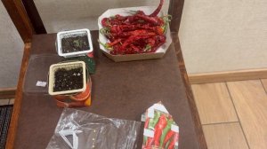 Острые перцы поставила на проращивание.