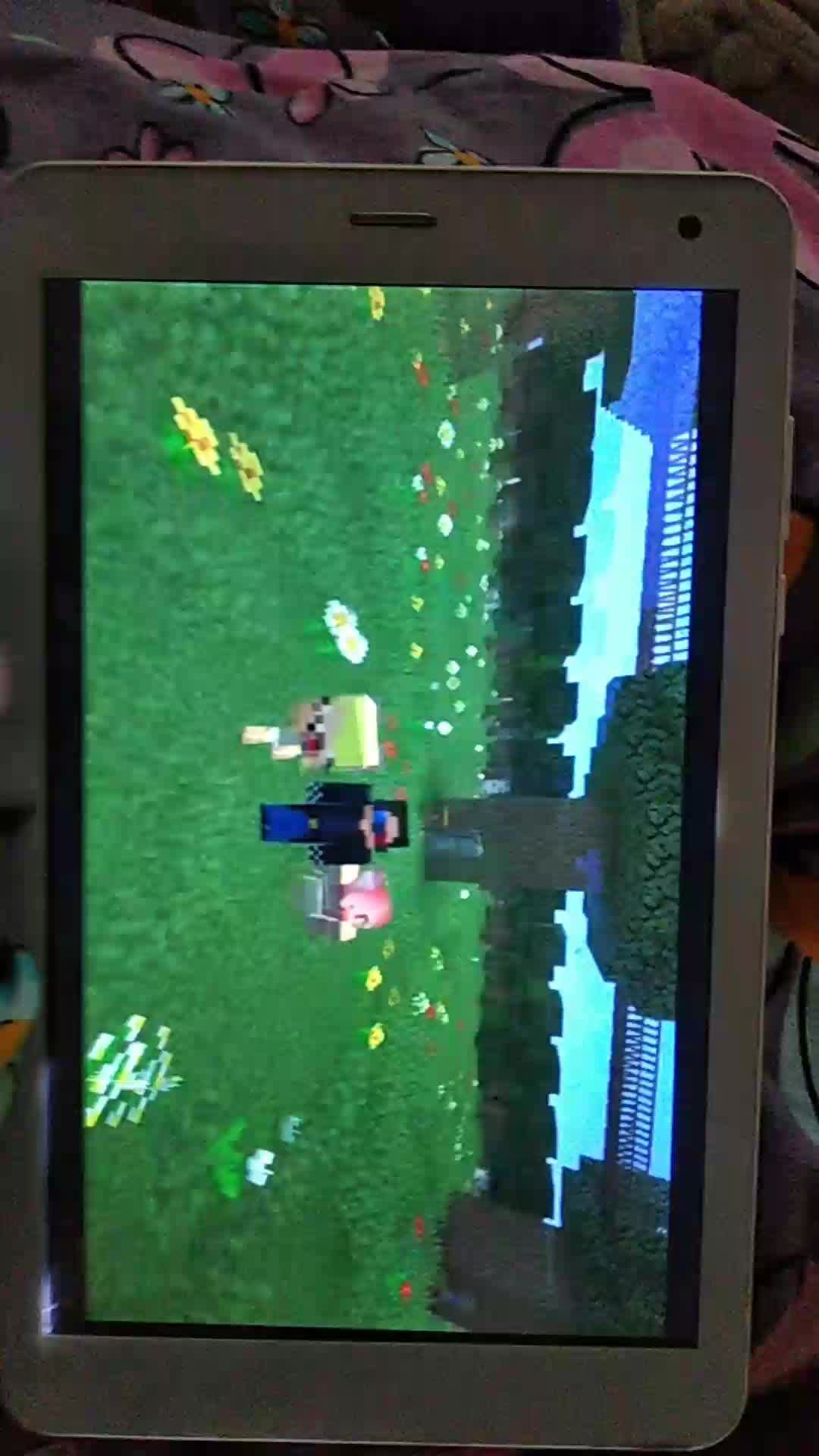 смотрю шеди