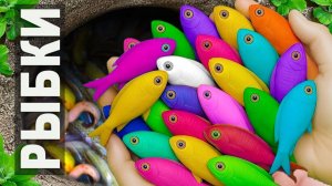 Мультики для детей про речных обитателей. Ловим и рассматриваем жителей водоема. Мультики малышам