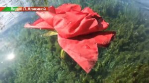 Ледяные "Мальдивы"