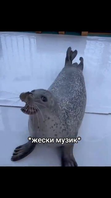 просто диджей