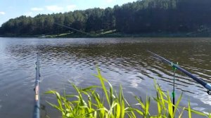 РЫБАЛКА НА УДОЧКУ. Карасик радует!!!