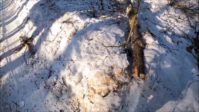 Лесной хутор/Что я буду делать, когда придет старость. Кузька лучше чем трактор. Будни дровосека.