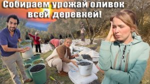 500 КГ ОЛИВОК, СОБИРАЛИ ВСЕЙ ДЕРЕВНЕЙ! Иностранку приняли в семью?! В Турции семья не просто слово