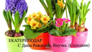 ЕКАТЕРИНОДАР - С ДНЕМ РОЖДЕНИЯ ВНУЧКА. (Солодкин)