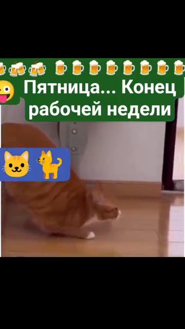 Пятница...конец рабочей недели 🍻🍺😉