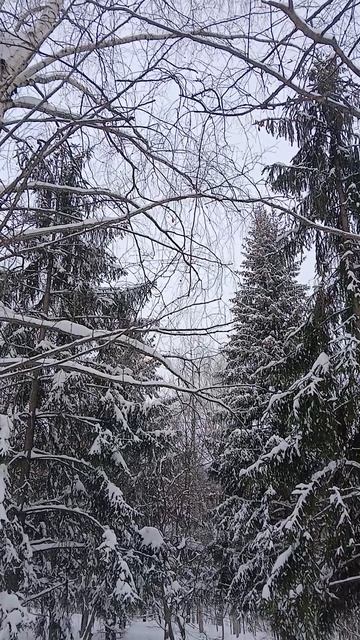 Найдите ВРЕМЯ НЕ СПЕШИТЬ!!!