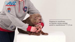 Барс ошейник инсектоакарицидный для собак средних пород 50 см