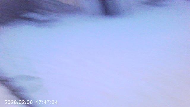 Обзор: светильник типа SOLAR с сенсором движения во дворе