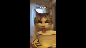 #смешныевидео -875