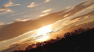 ПОДГОТОВКА К ВЕСНЕ НА ОЦЕНКУ 5🥰