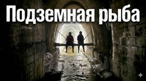 В погоне за МИСТИЧЕСКОЙ рыбой. Спустился в коллектор и нашёл...
