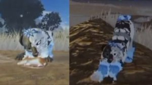 видео для ледяного ока!