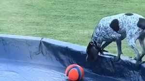 Твой китайский дед 2