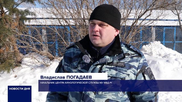 ОРЕНБУРГСКИЕ СЛУЖЕБНЫЕ СОБАКИ ИЩУТ НОВЫЙ ДОМ смотреть онлайн