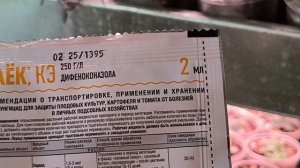 Обзор растений на полках, часть 2.