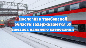 После ЧП в Тамбовской области задерживаются 39 поездов дальнего следования