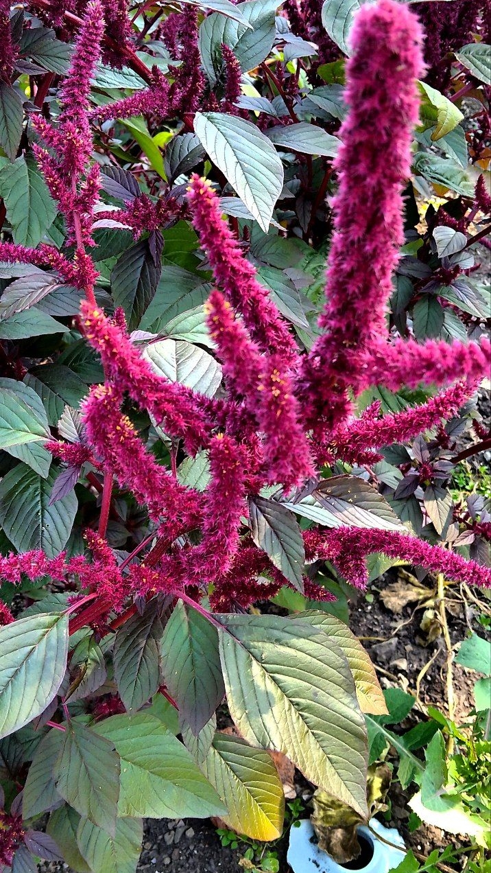 Осеннее. 07-02-2026 смотреть онлайн