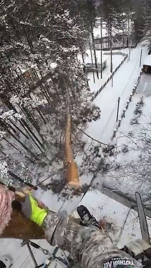 Спил дерева на участке Иркутск