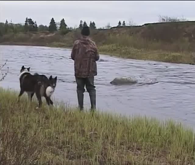 Анатолий Полотно - На Севере смотреть онлайн