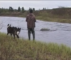 Анатолий Полотно - На Севере